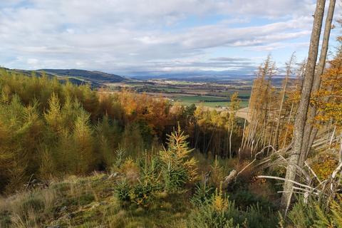 undefined, Ayton Woodlands, Aberargie, Perth, PH2