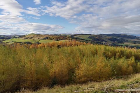 undefined, Ayton Woodlands, Aberargie, Perth, PH2