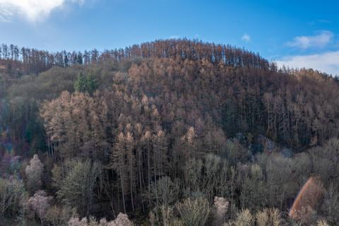 undefined, Ayton Woodlands, Aberargie, Perth, PH2