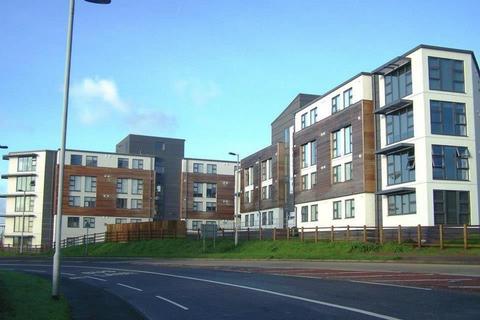 8 bedroom flat to rent, 2-4 Plymbridge Lane, Plymouth PL6