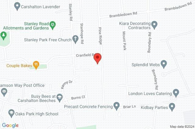 Google Maps Image