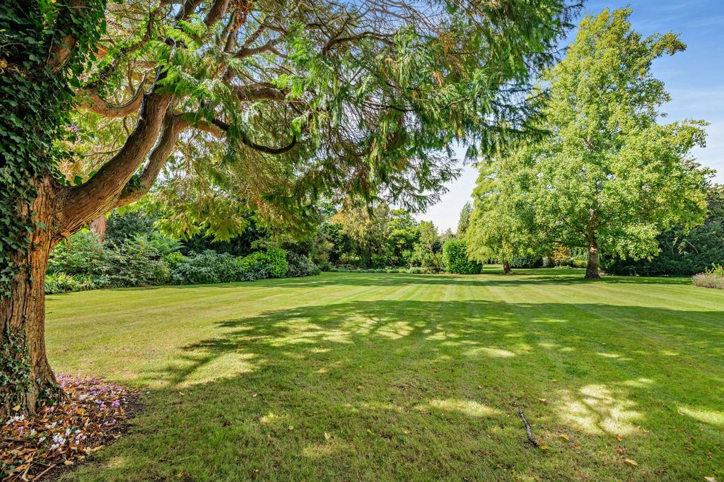 Grounds