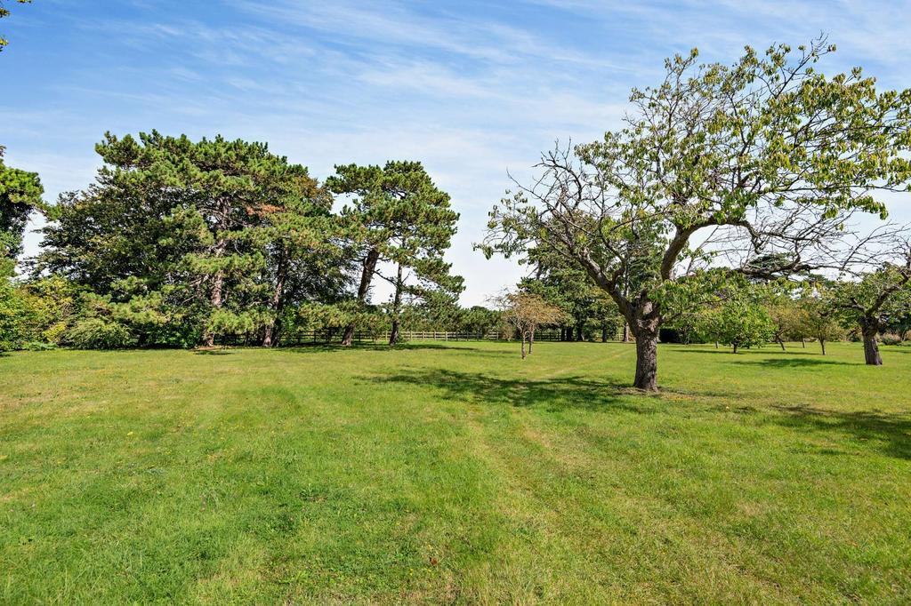 Grounds