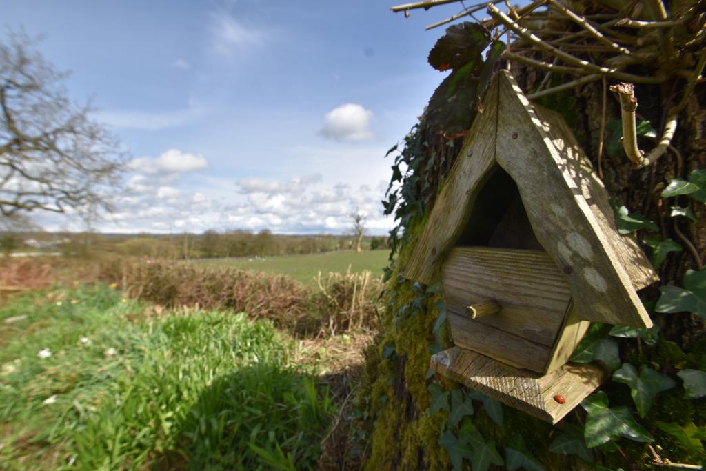 Witheridge, Seddons