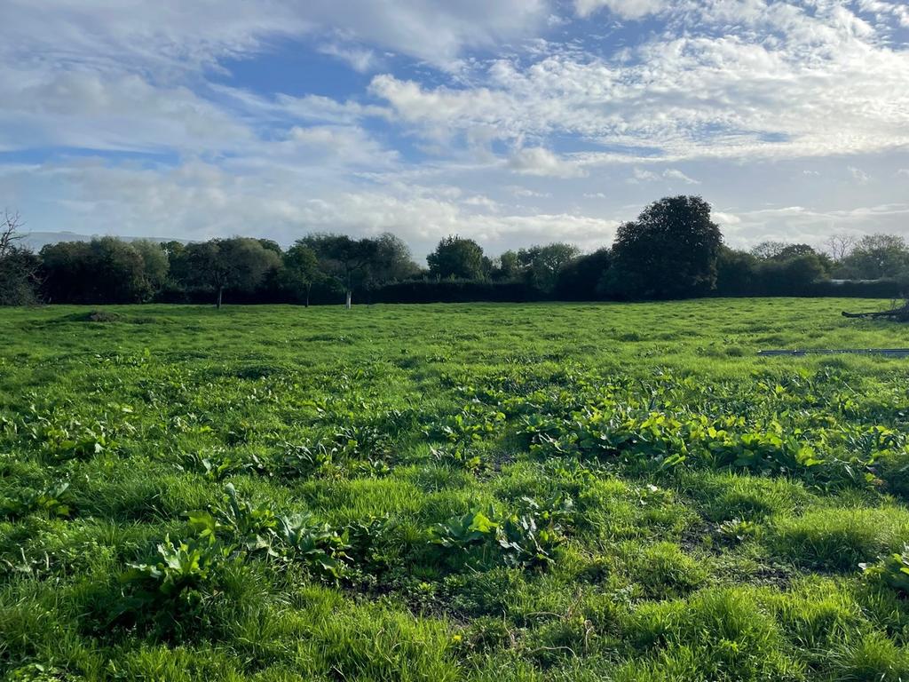 Wells Road, Latcham, Wedmore, BS28 Farm land for sale £50,000