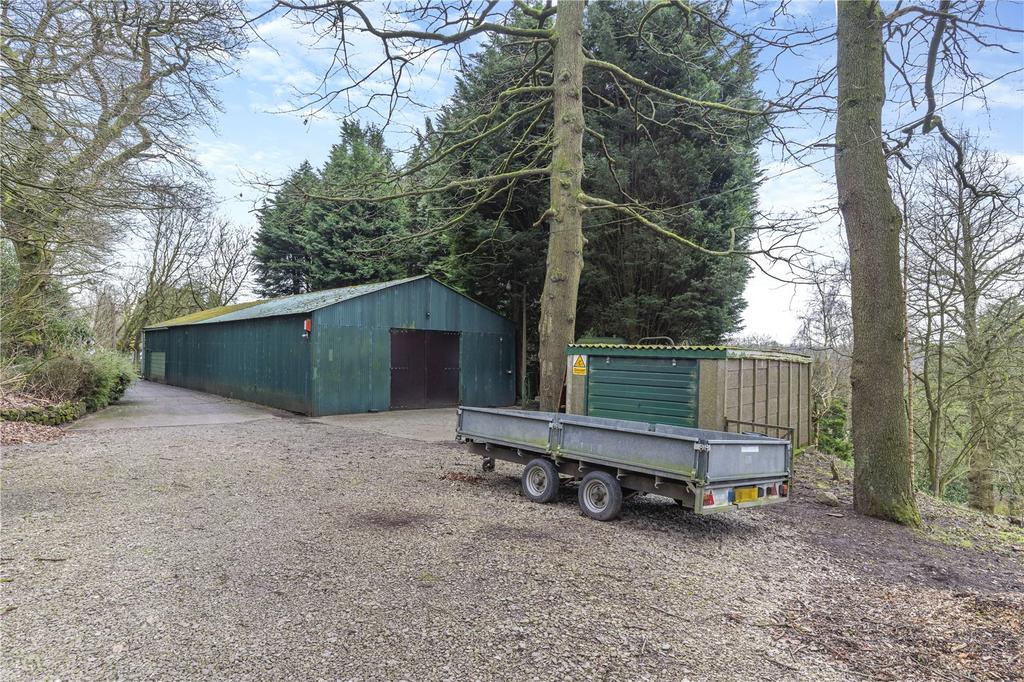 Yard Area
