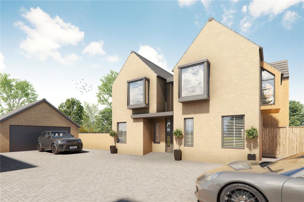 Picture 19