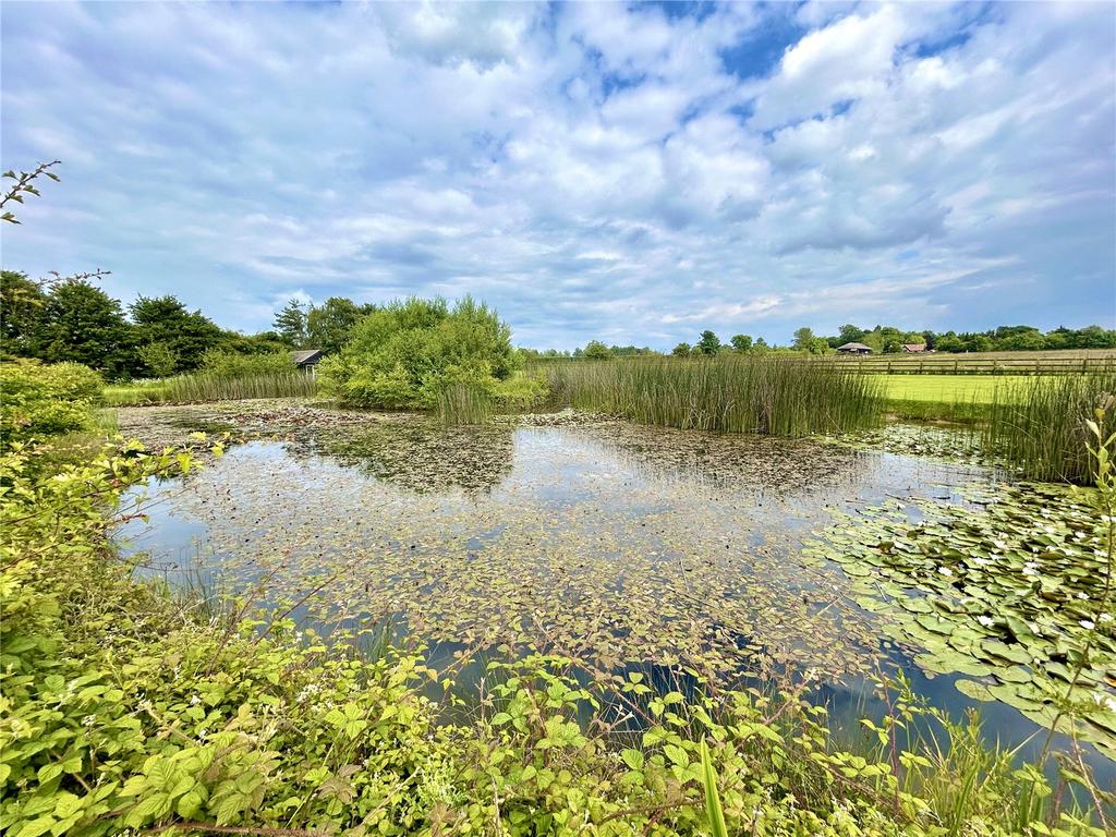 Fishing Lake