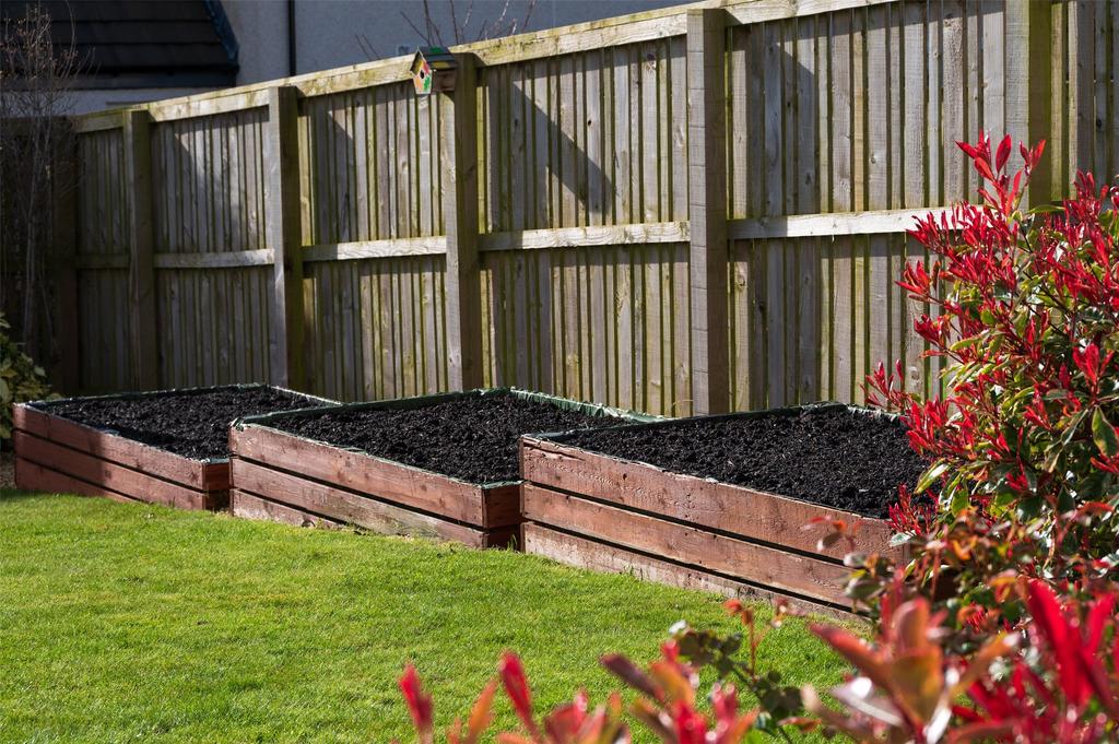 Raised Flower Beds