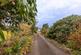 Additional image 14 of Flat 4 Rotherwood, Thornbarrow Road, Windermere, Cumbria, LA23 2DG