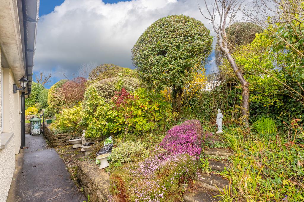 Side Garden