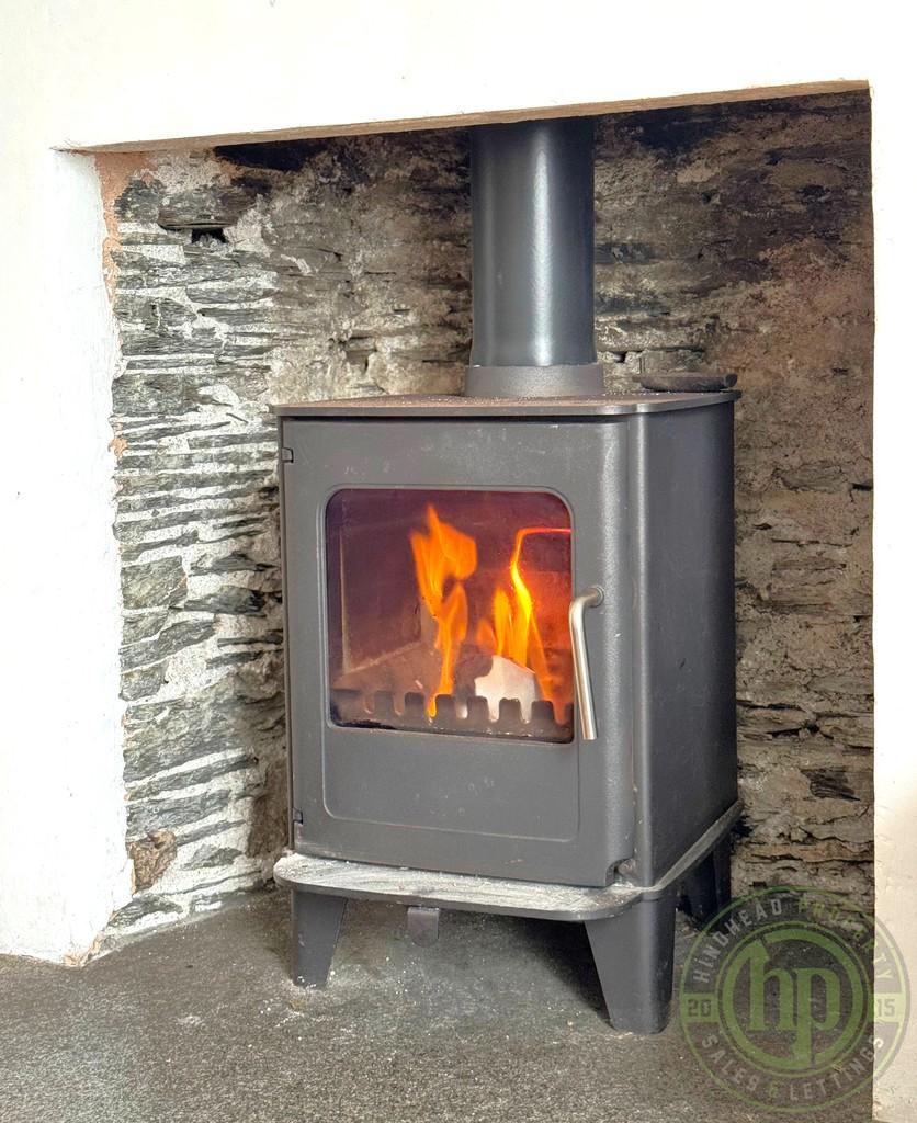 Log Burner