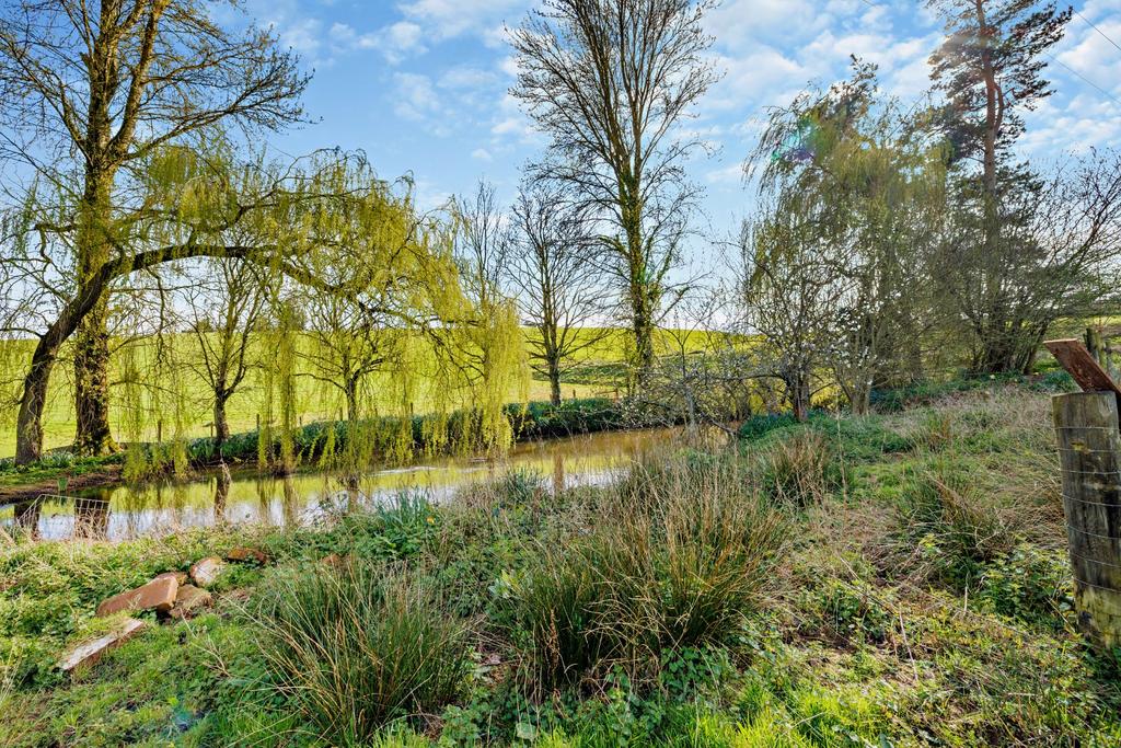 Wildlife Ponds