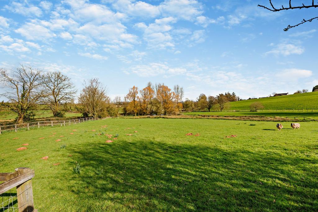 Grounds