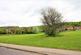 Field