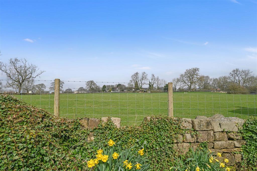 Dsc 1573.jpg
