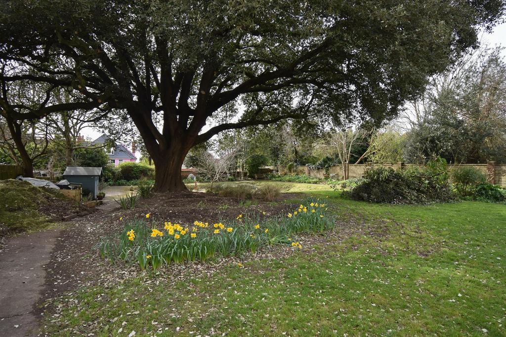 Communal garden