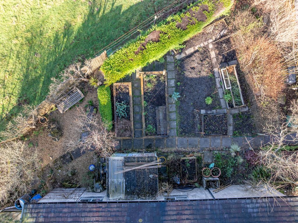 Productive Vegetable Garden