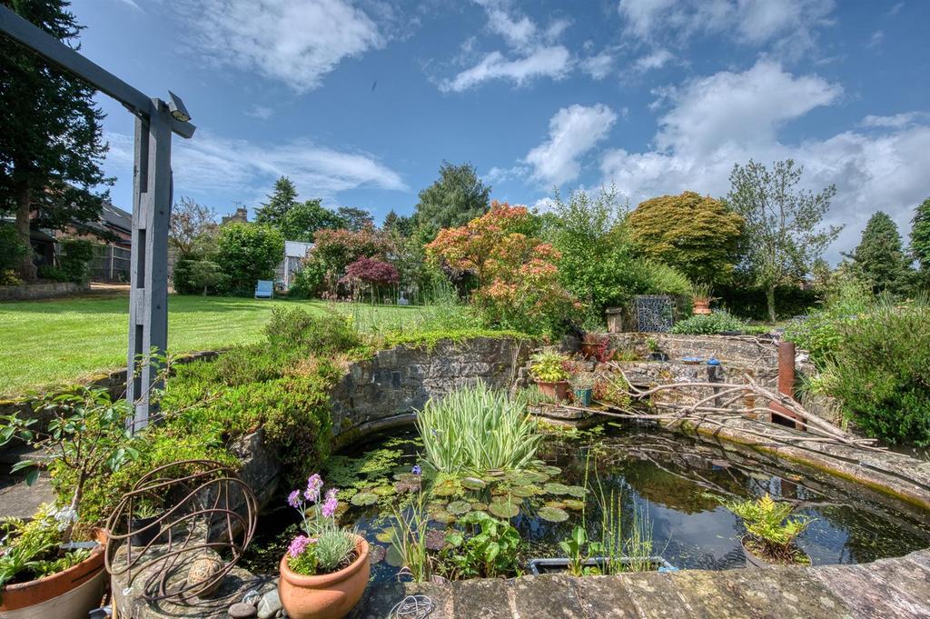Pond and garden.jpg