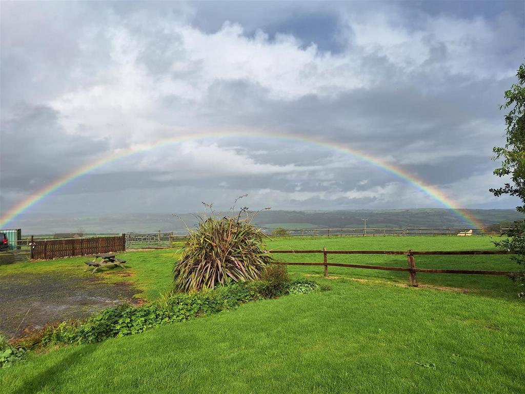 Rainbow paddock.jpg