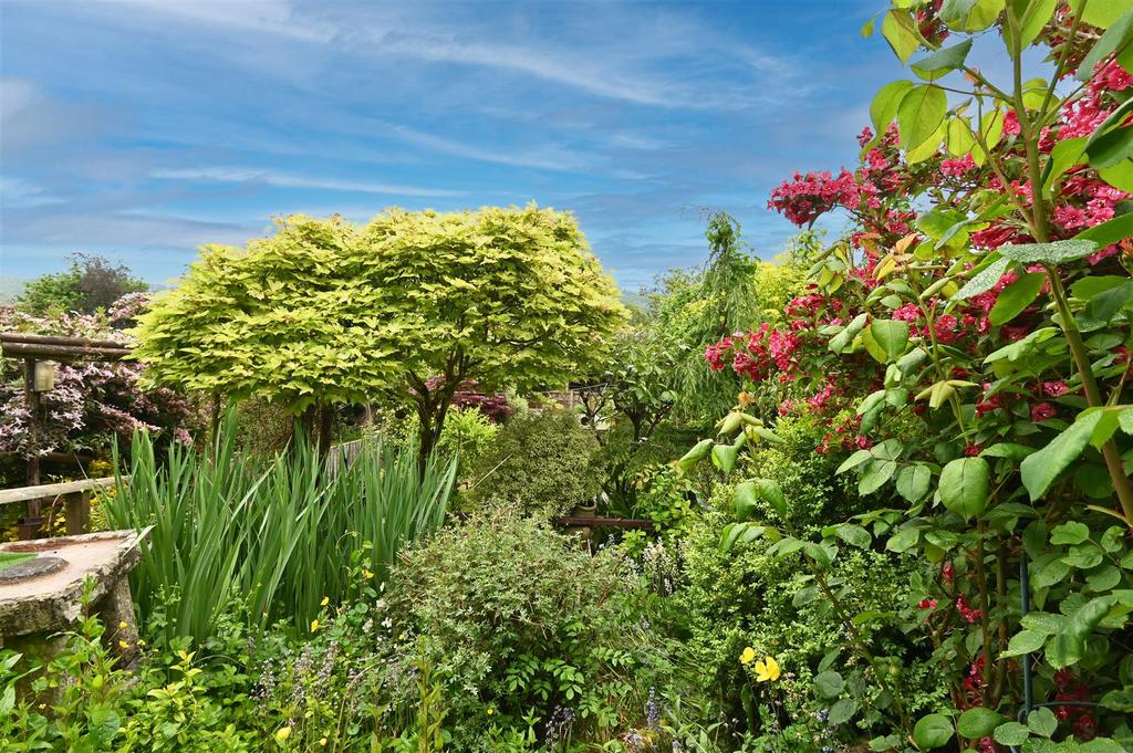 Garden from veranda.jpg