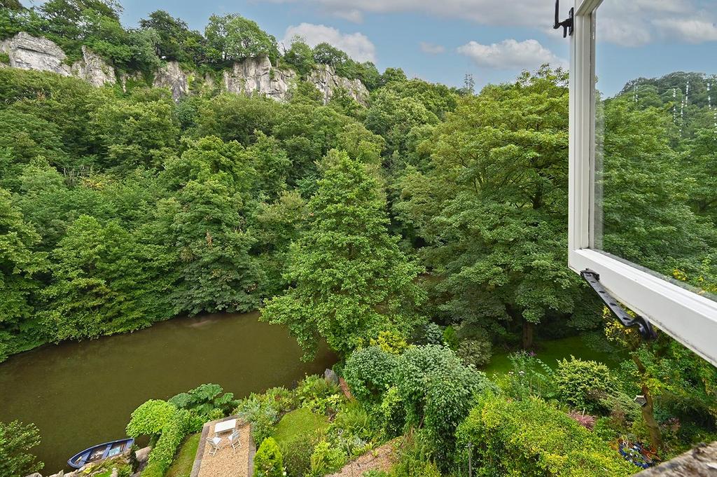 View over garden to river.jpg