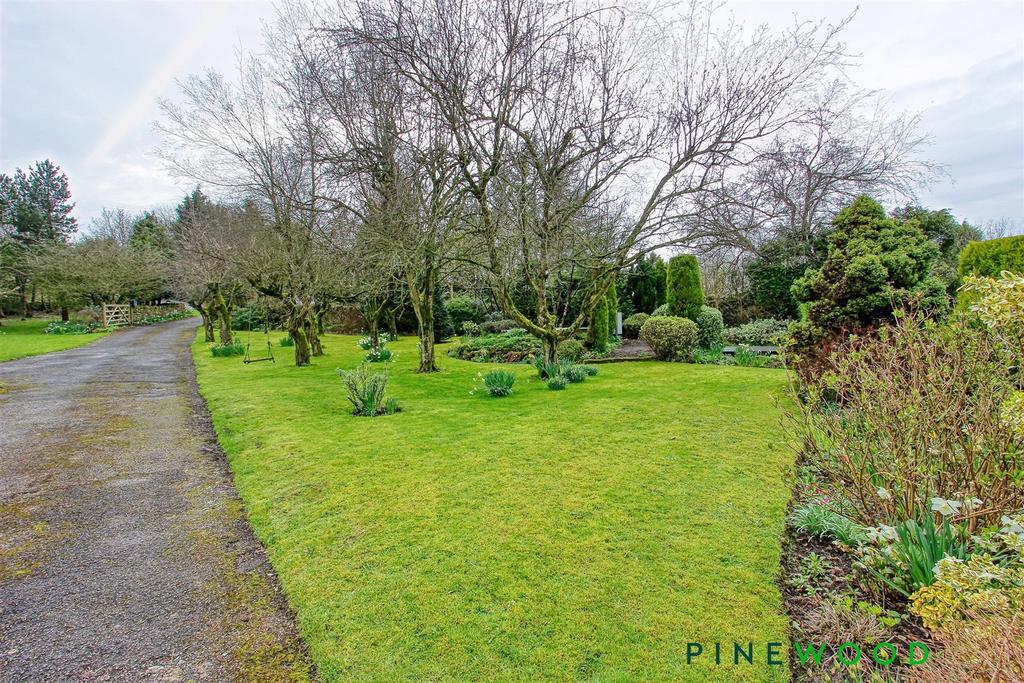 Front garden
