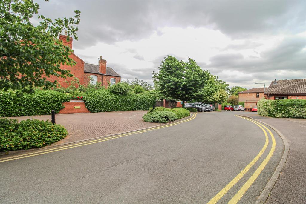 IMG 4677.jpg