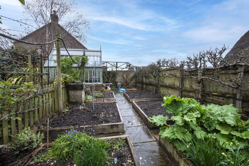 Vegetable Plot