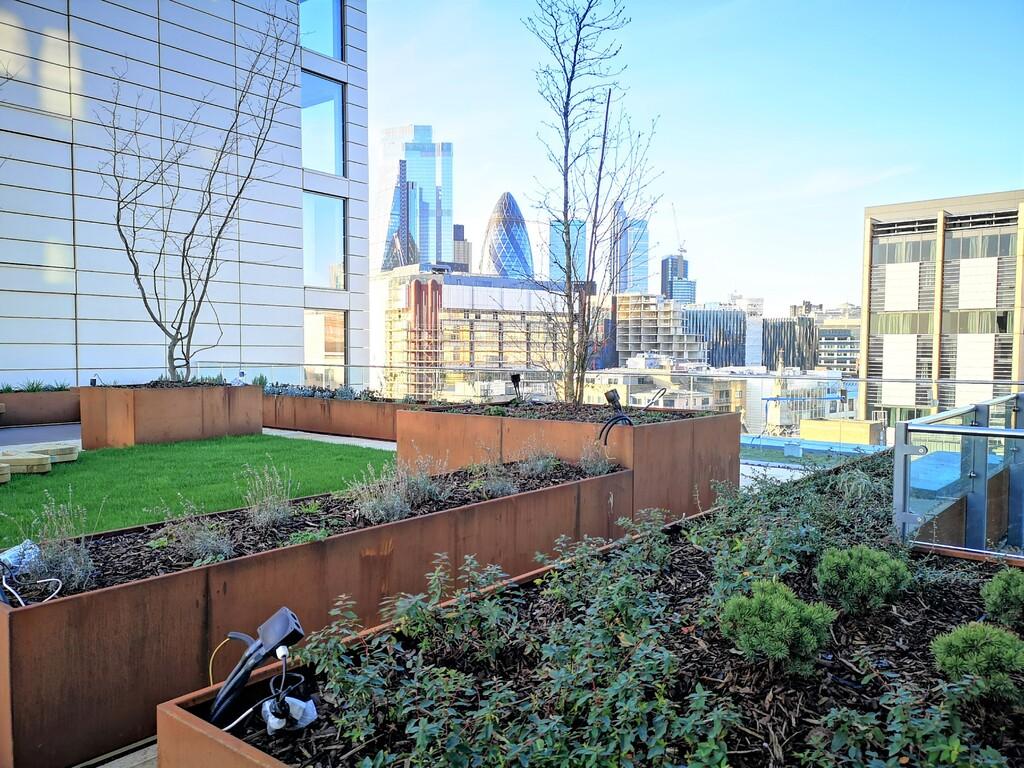 Roof Garden