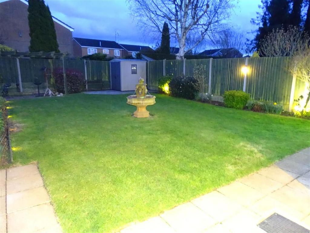 Rear Garden by Night