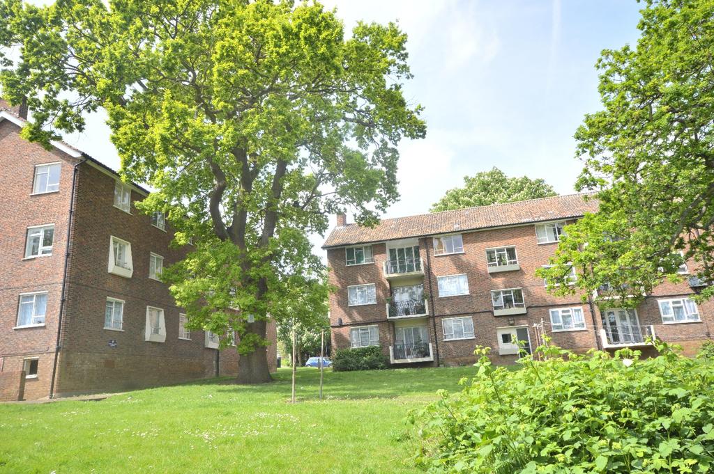 External