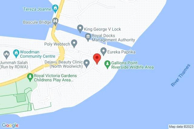 Google Maps Image