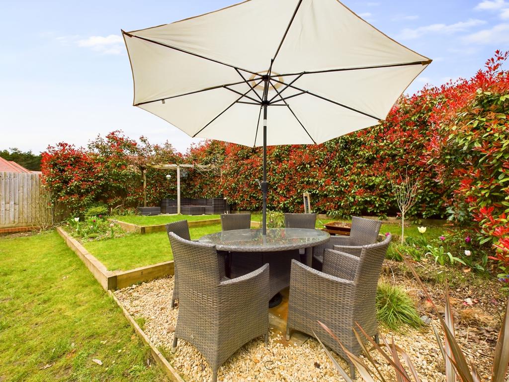 Back Garden