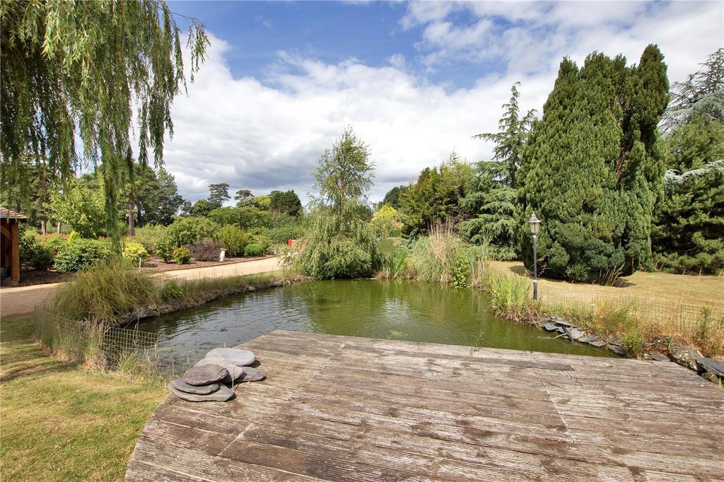 Pond