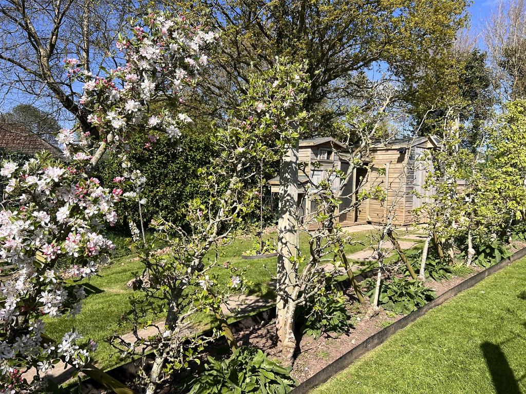 Orchard