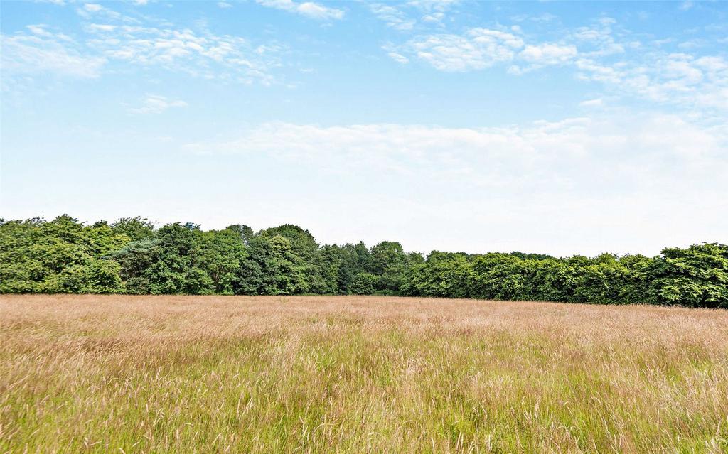 Grounds