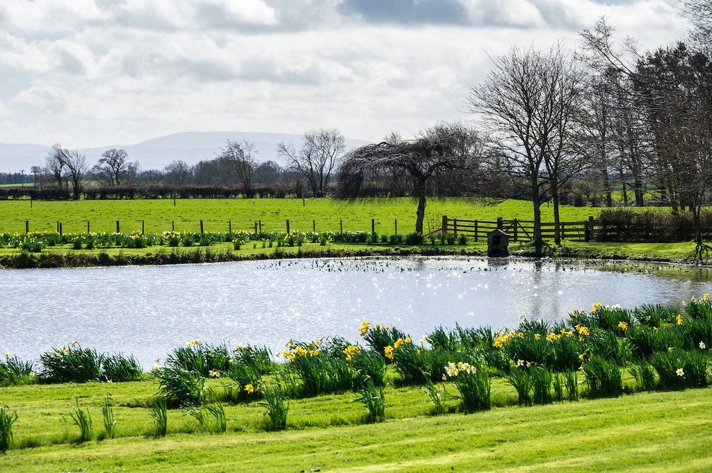 Pond &amp; View