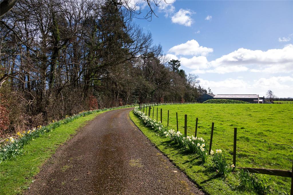 Driveway