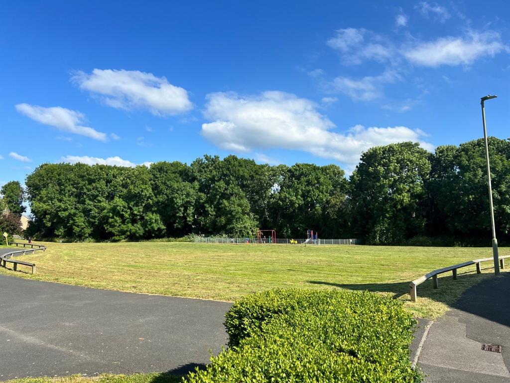 Local Park