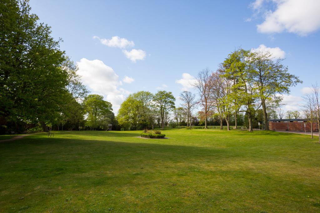 Communal Garden