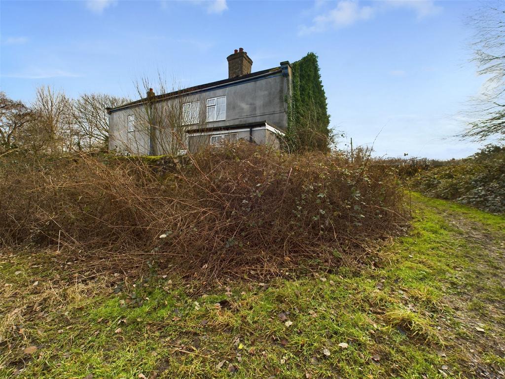 Rear Elevation