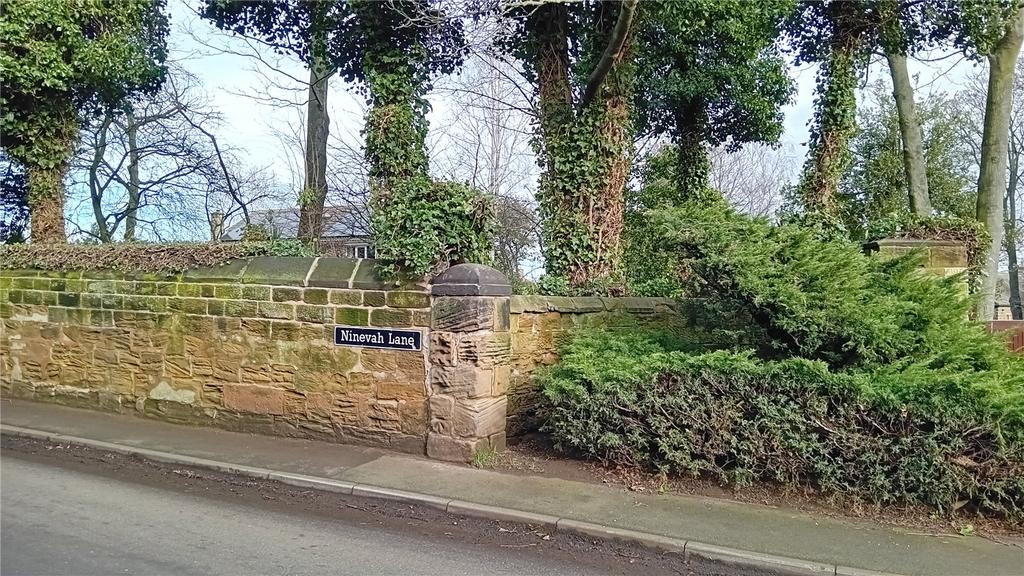 Ninevah Lane