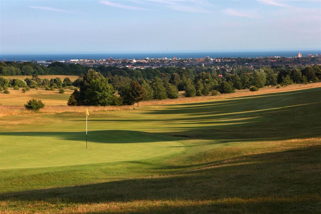 Golf 1.jpg