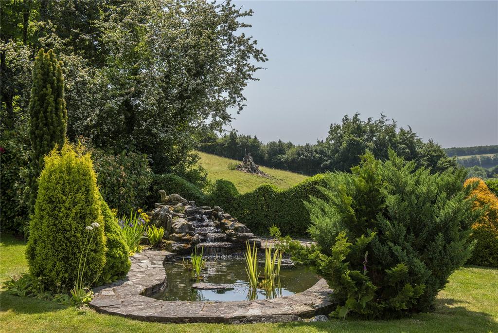 Pond &amp; View