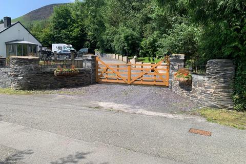 undefined, Conifers, Machynlleth
