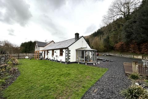 undefined, Conifers, Machynlleth