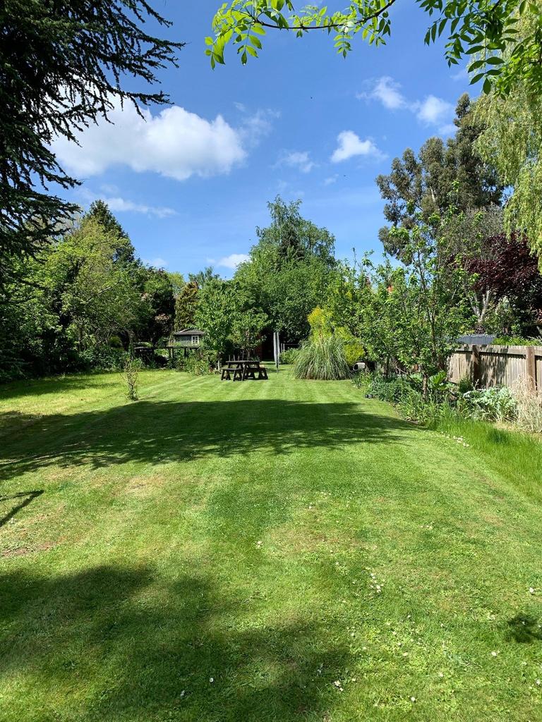 Gardens In Summer