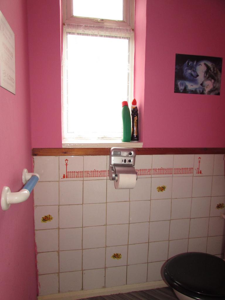 Photograph 5