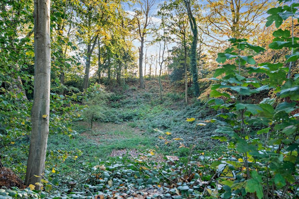 Woodland